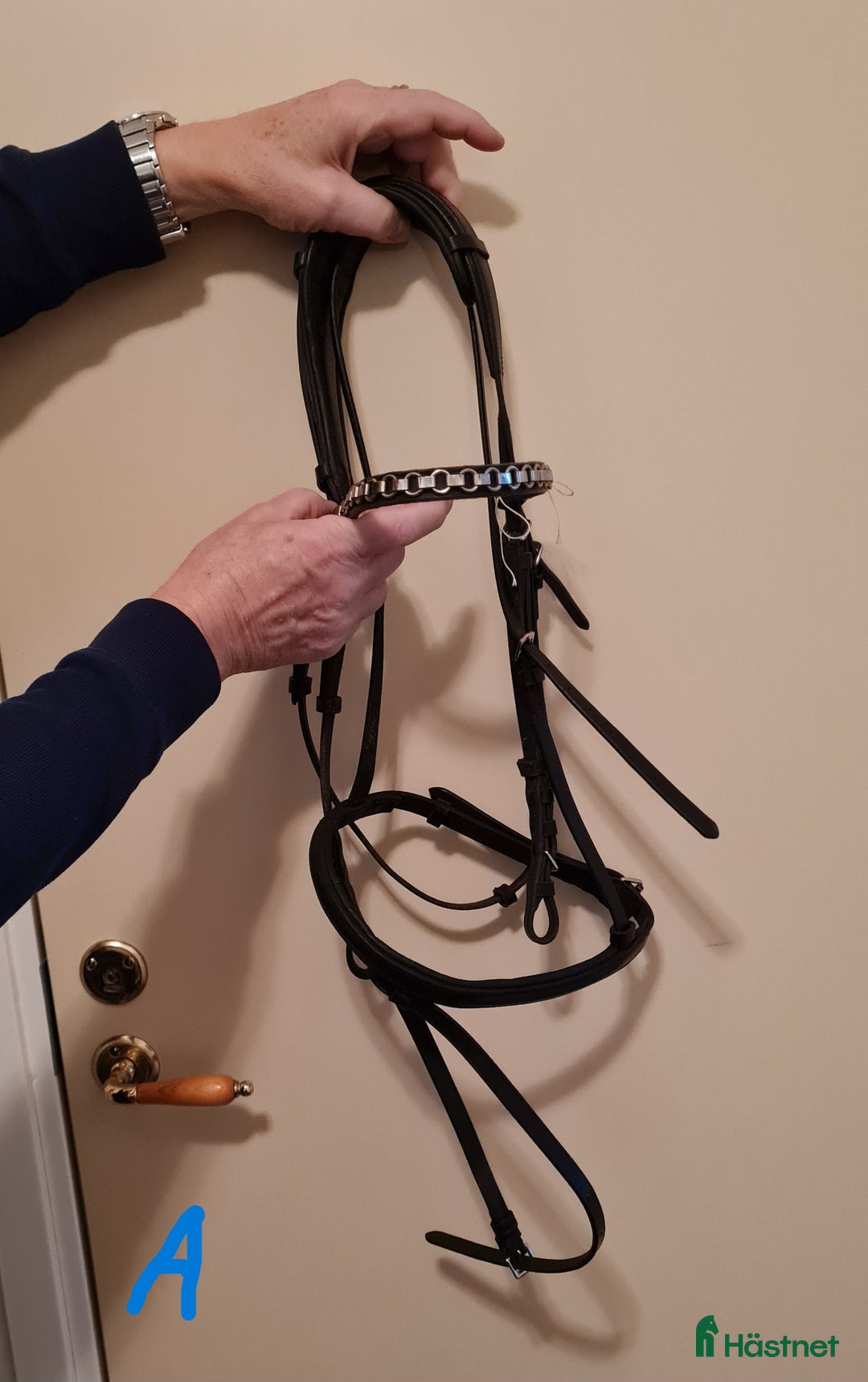 Träns hästutrustning till salu: Träns/huvudlag i Umeå - Annons 1