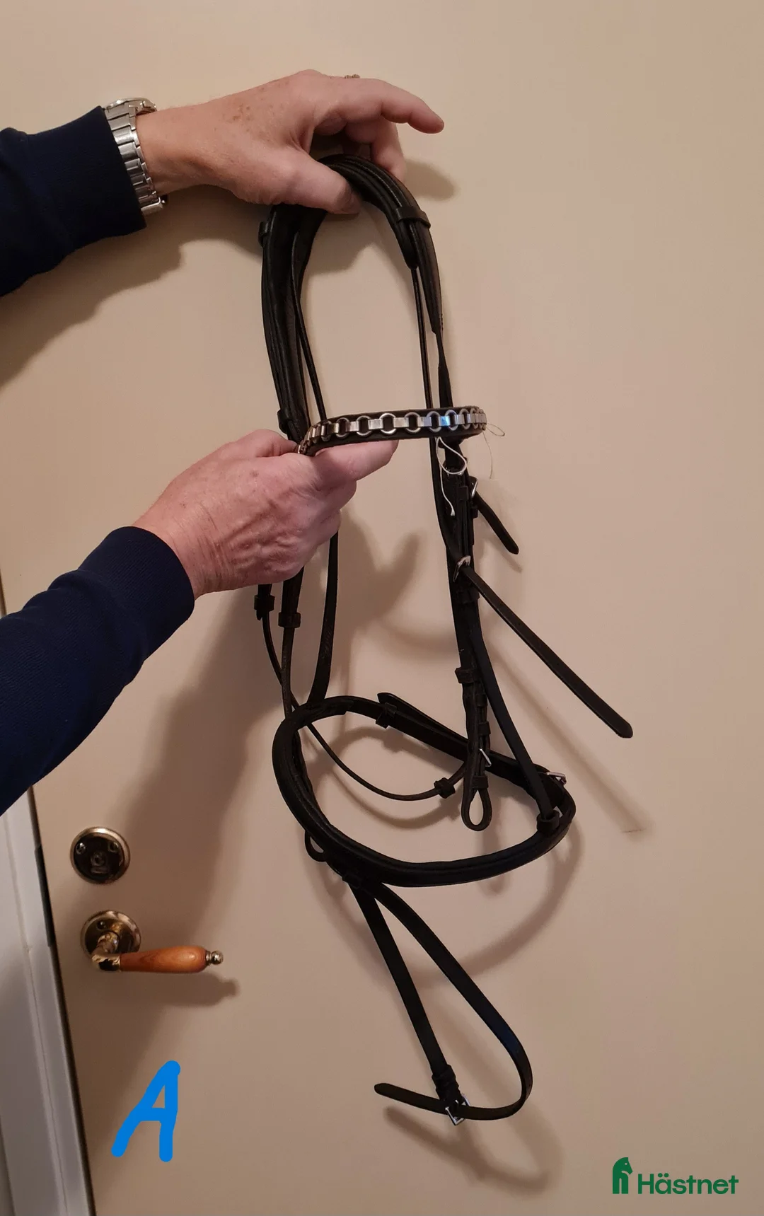 Träns hästutrustning till salu: Träns/huvudlag i Umeå - Annons 1