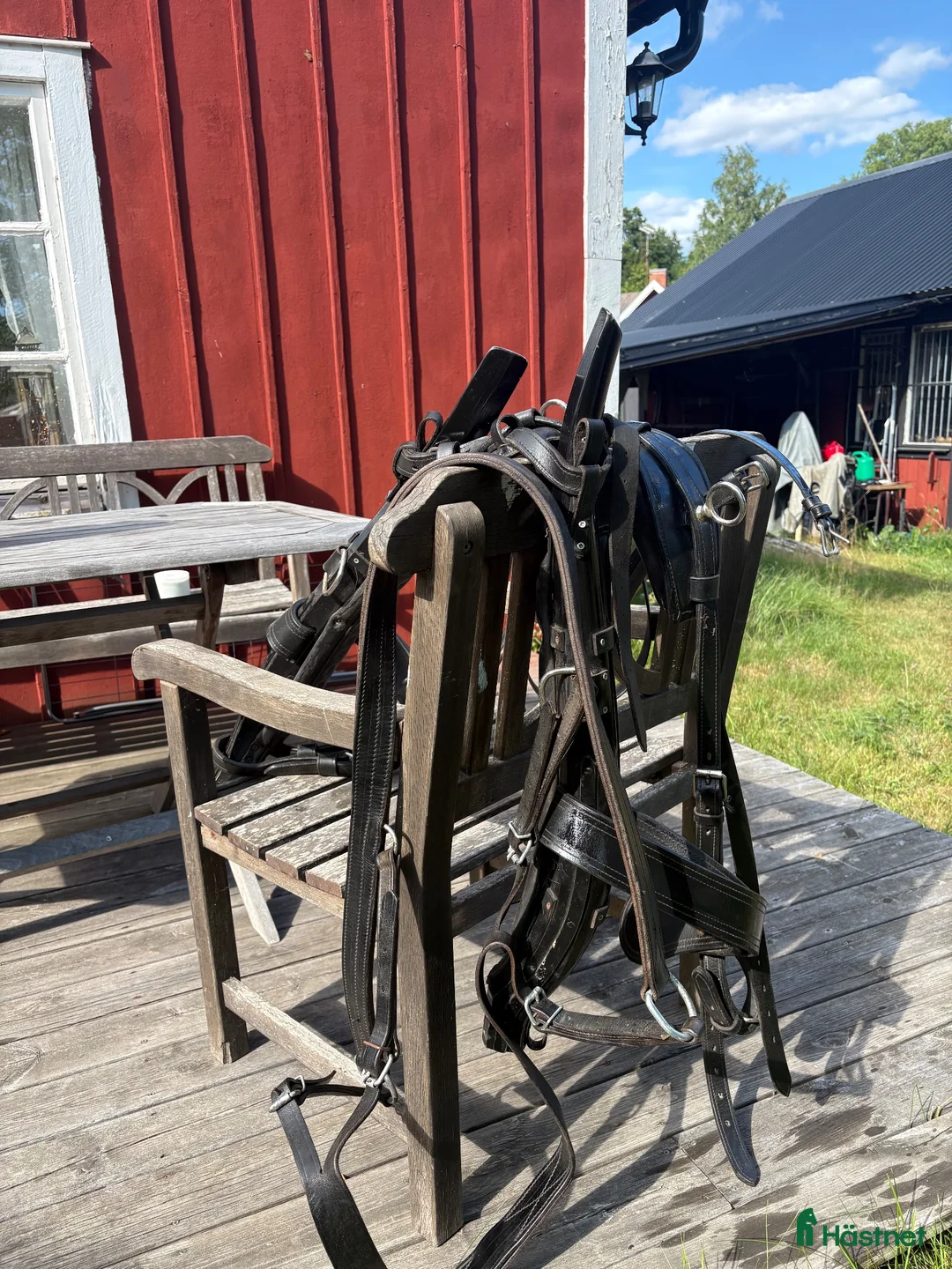 Körselar körning till salu: Loksele till Fjording D ponny - Annons 2