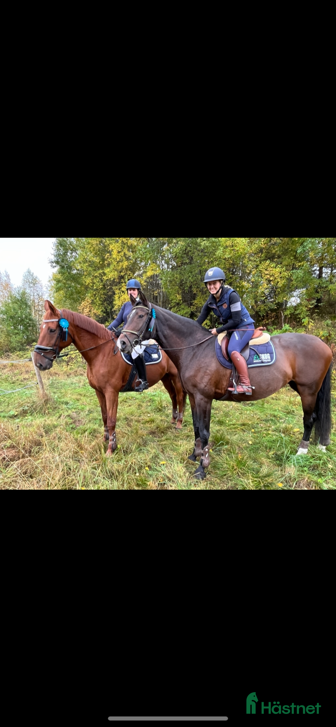  stallplats finnes: Söker stallplatser för två hästar i Stockholm - Annons 1