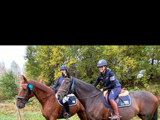 stallplats Söker stallplatser för två hästar i Stockholm - Annons 2