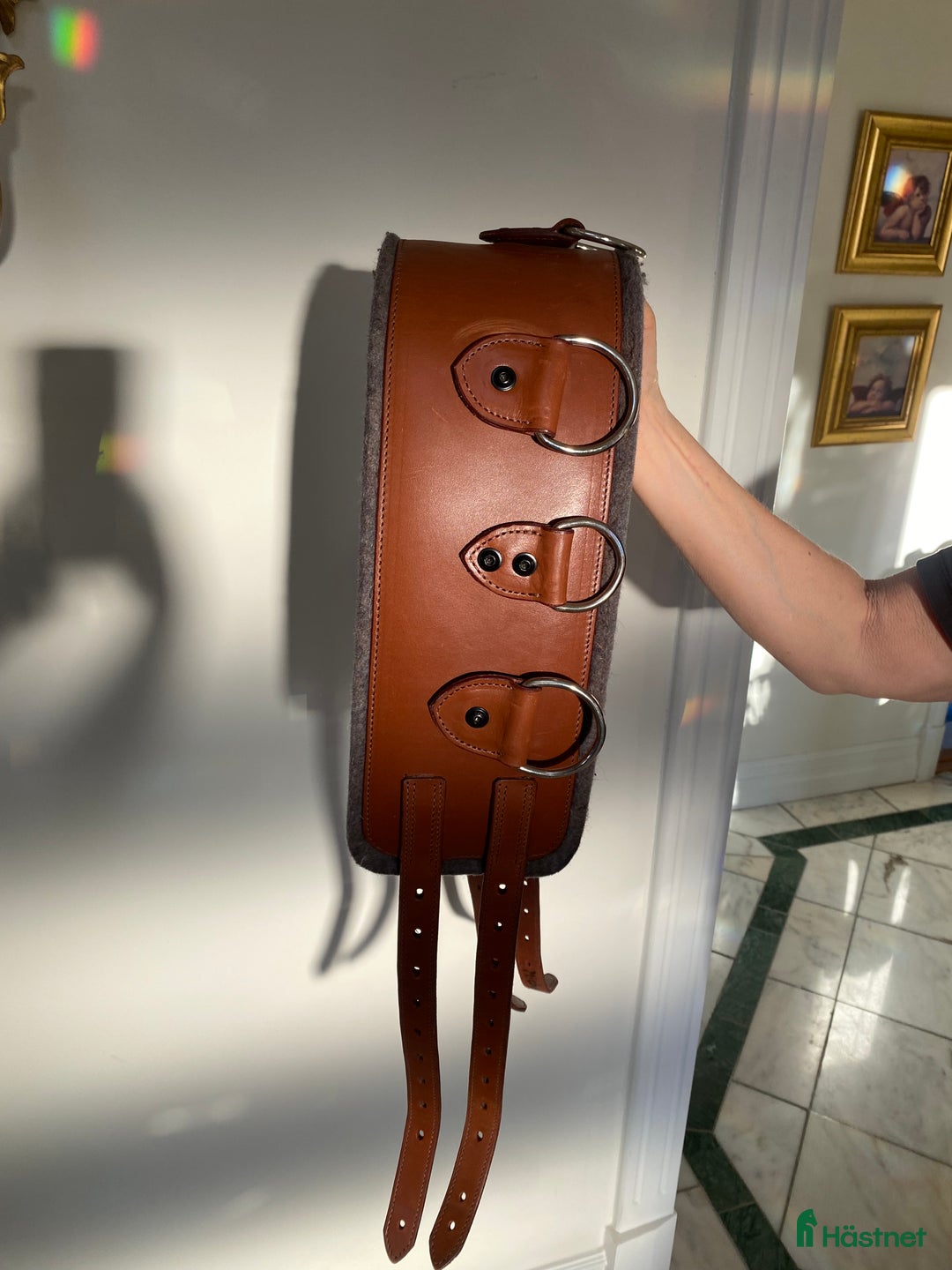 Övrig Hästutrustning hästutrustning till salu: Stubben Tömkörningsgjord i Torslanda - Annons 1