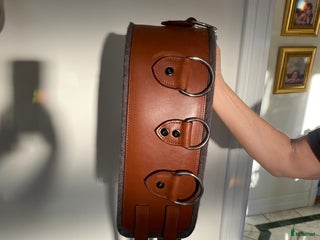 Övrig Hästutrustning hästutrustning till salu: Stubben Tömkörningsgjord i Torslanda - Annons 1