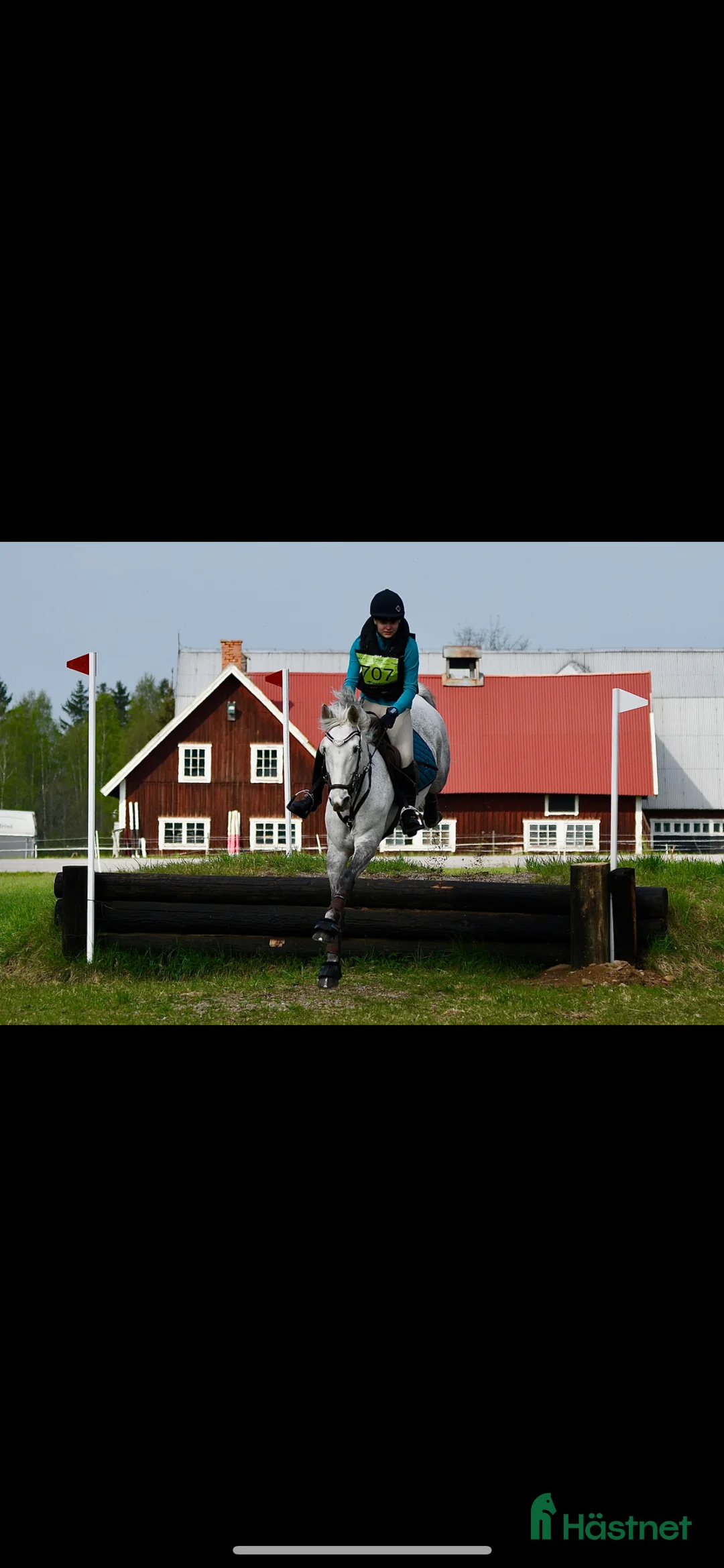 Hoppning hästar till salu: Underbar D-ponny med power i Västerås - Annons 6