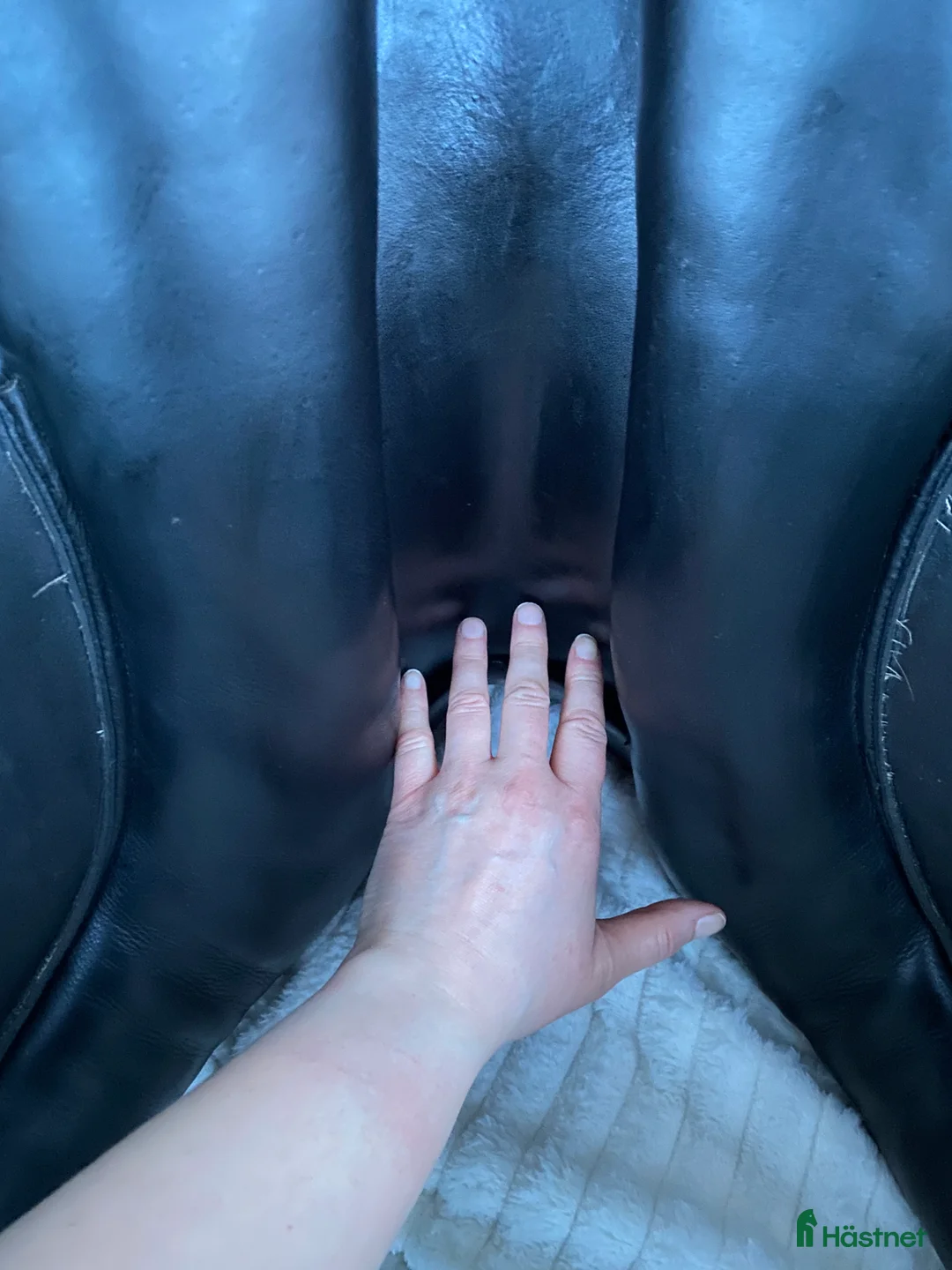 Sadlar hästutrustning till salu: Välvårdad dressyrsadel 17’ - Annons 6