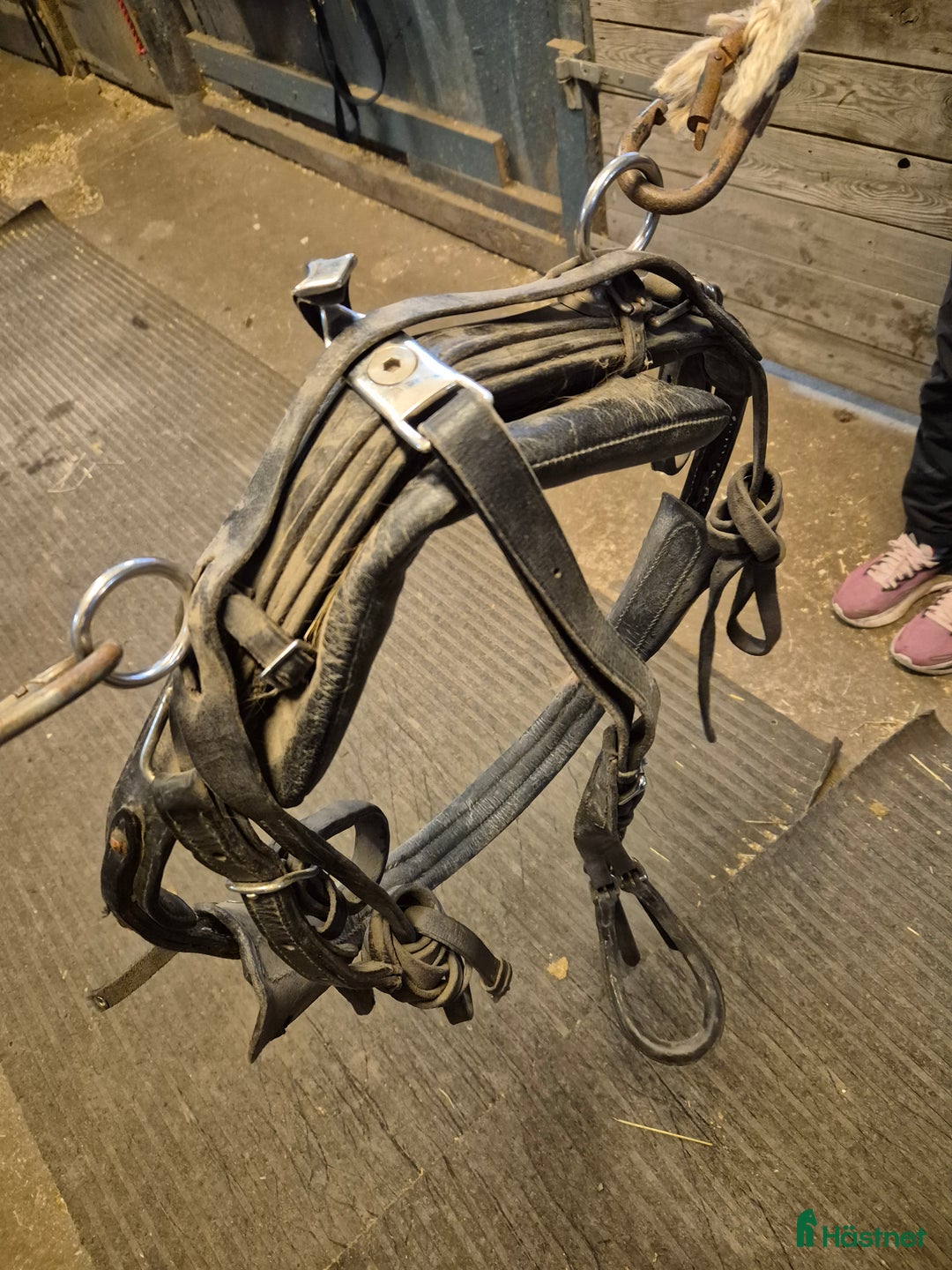 Körselar körning till salu: Shettissele  - Annons 1