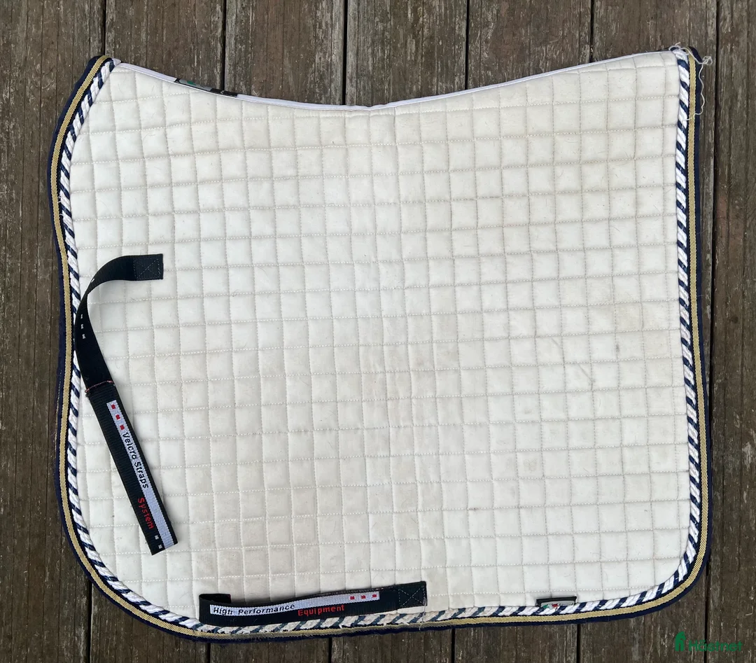 Schabrak & Vojlockar hästutrustning till salu: Vitt Equiline dressyrschabrak  i Vallentuna - Annons 1