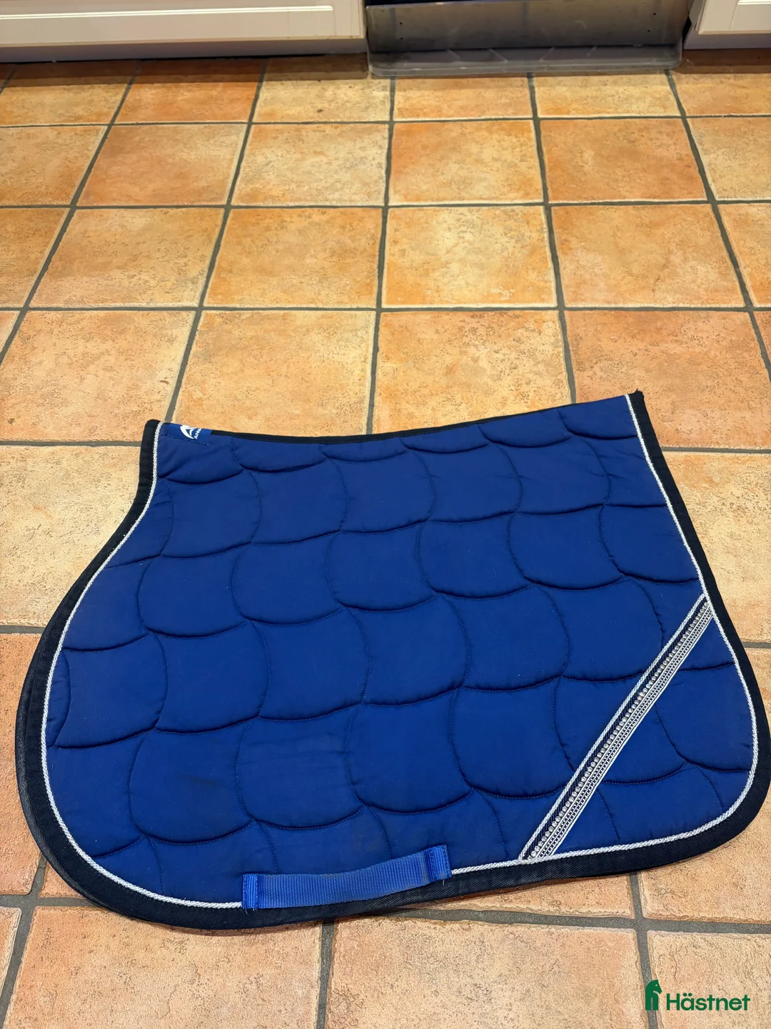 Schabrak & Vojlockar hästutrustning till salu: Anna Scarpati hoppschabrak - Annons 1