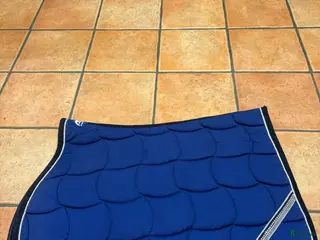 Schabrak & Vojlockar hästutrustning Anna Scarpati hoppschabrak - Annons 5