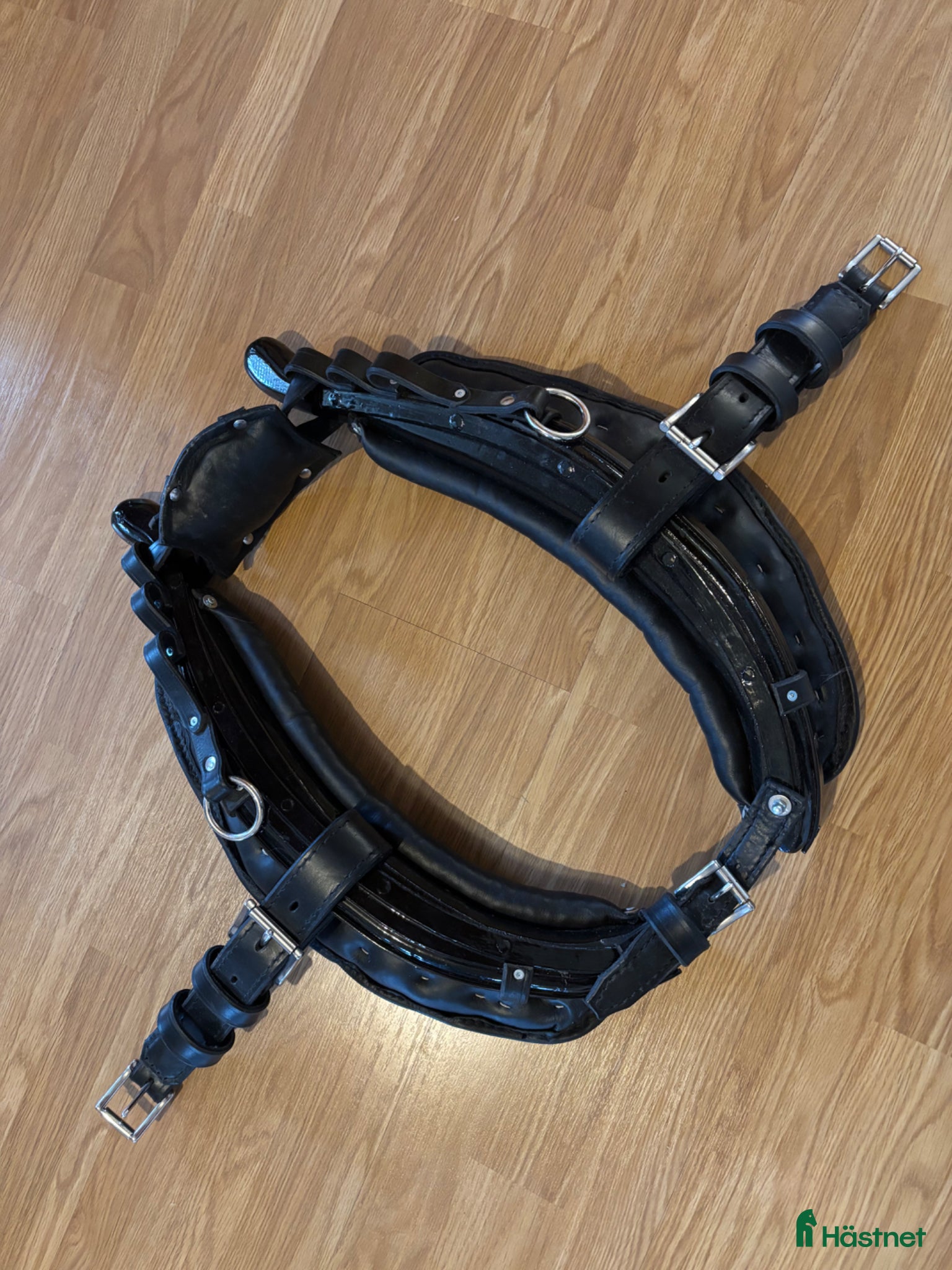 Körselar körning till salu: Lokor - Annons 4