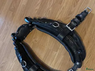 Körselar körning till salu: Lokor - Annons 4