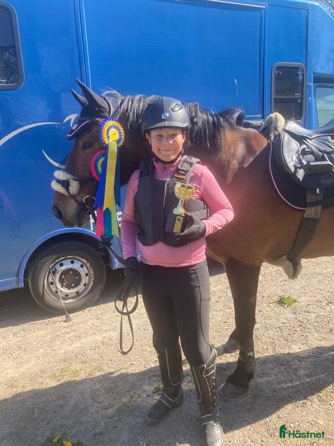 Allround hästar till salu: Bästa allroundponnyn/bästa kompisen  i Mörrum - Annons 1