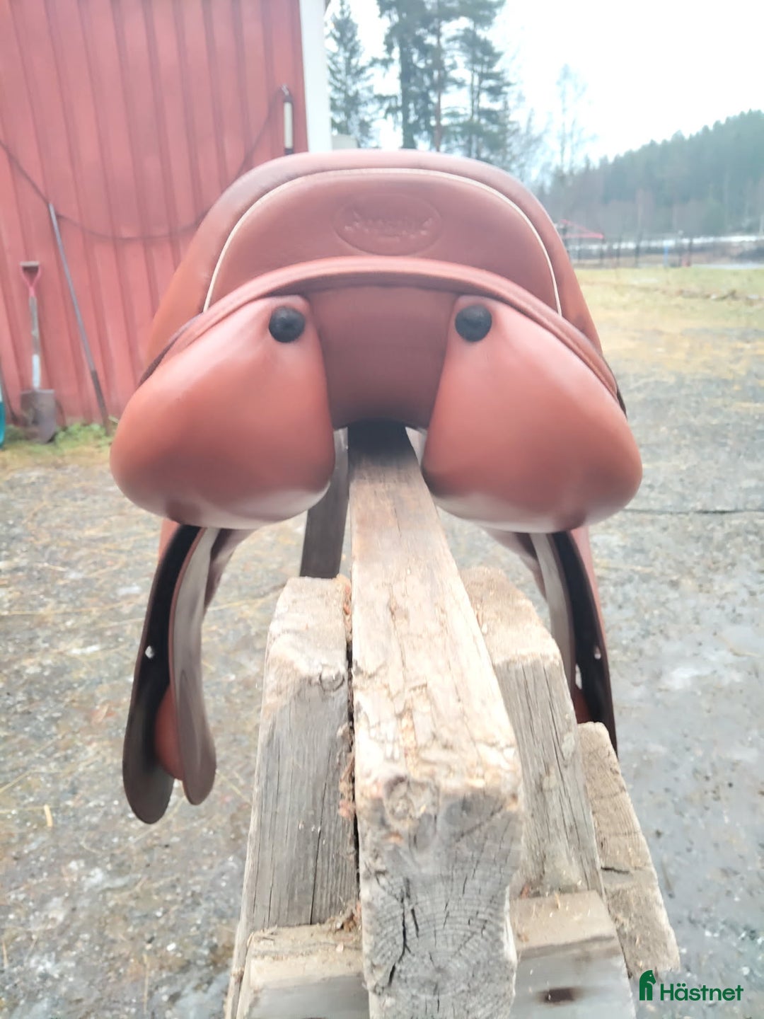 Sadlar hästutrustning till salu: Prestige Golden star  i Vännäsby - Annons 3