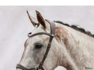 Träns hästutrustning till salu: PS of Sweden Nirak i Borensberg - Annons 3