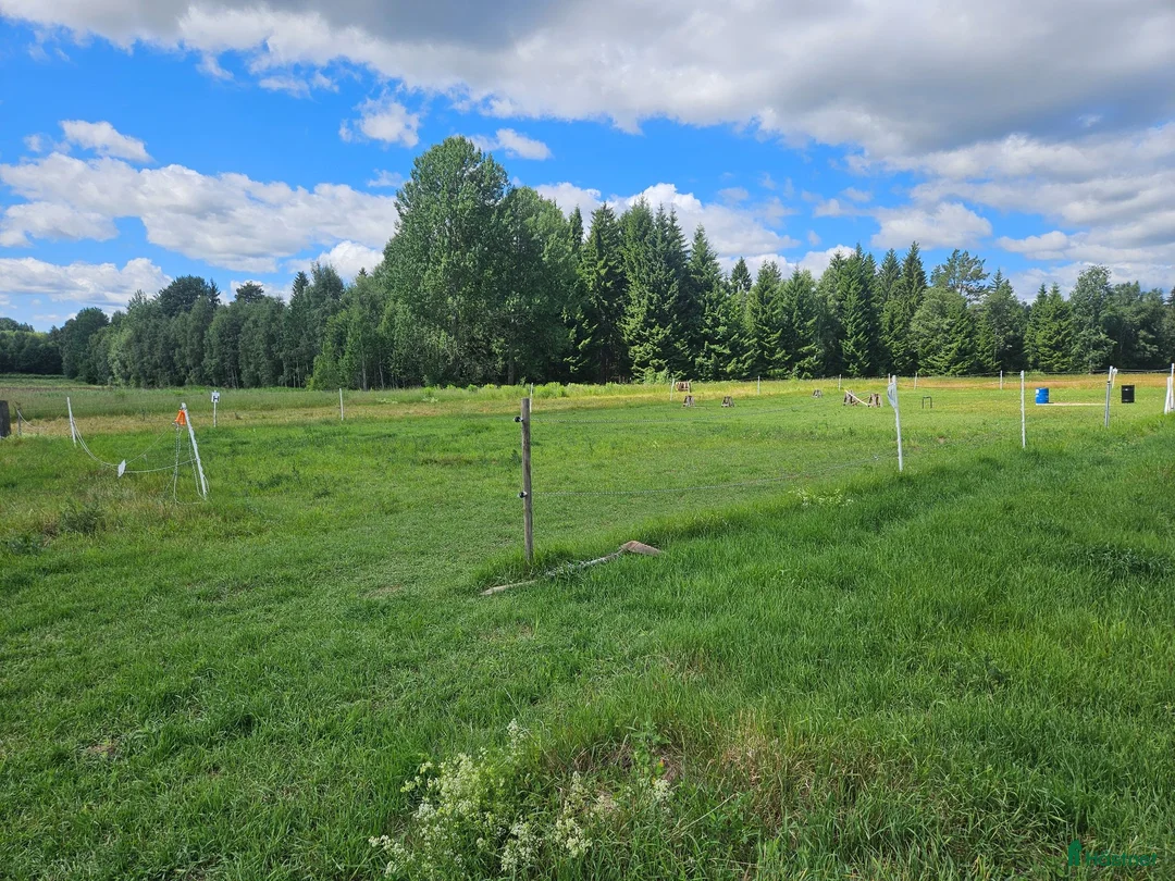  stallplats finnes: Lösdriftsplats - Annons 2
