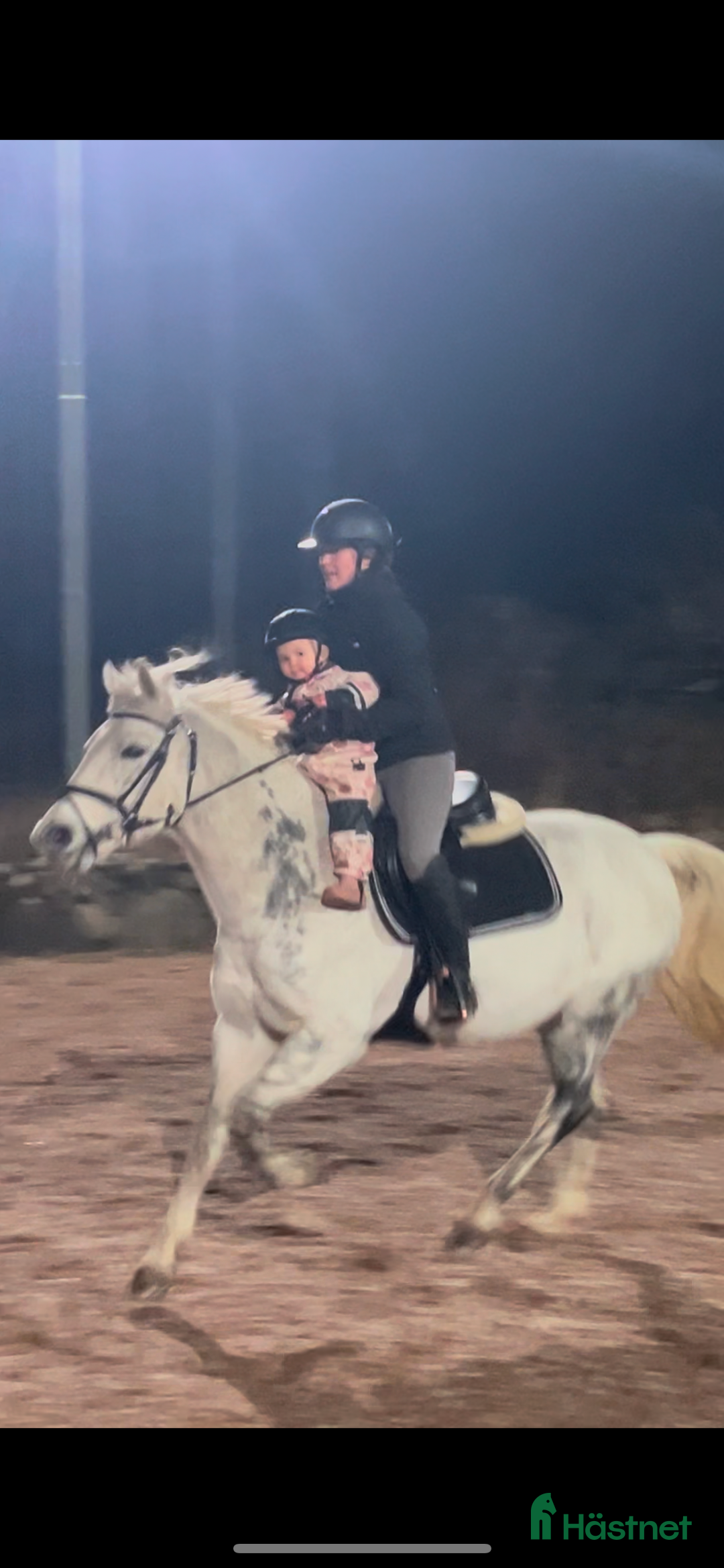 Allround hästar till salu: Snäll D-ponny för ridning och avel! i Broby - Annons 3