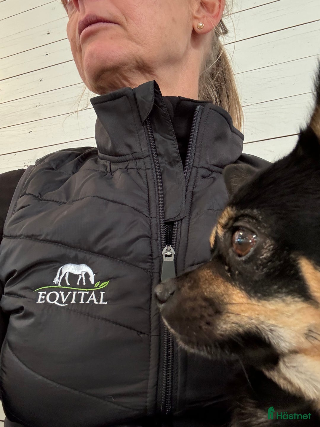  stallplats finnes: Behöver du stallplats på Ekerö?  i Skå - Annons 7