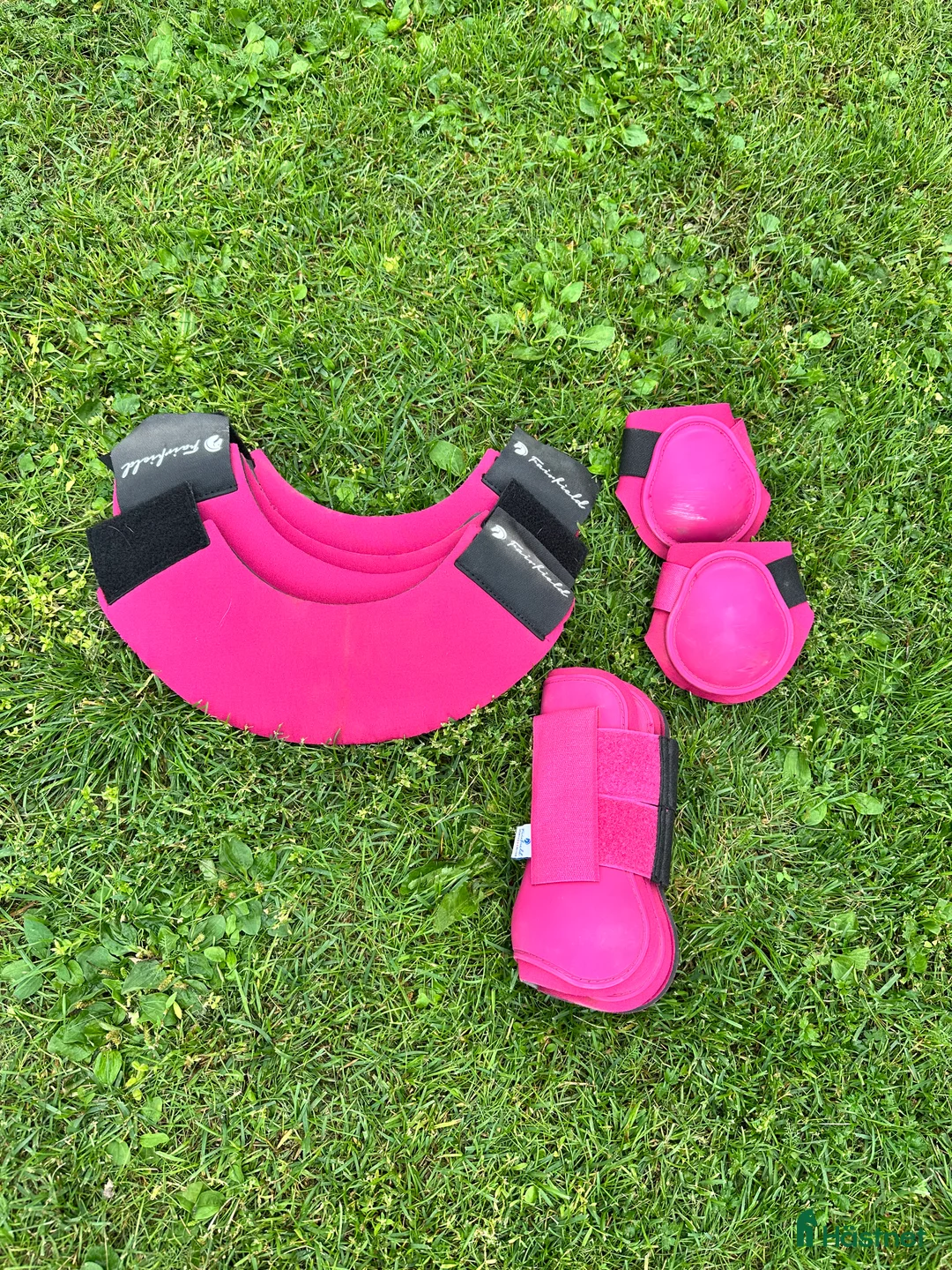 Benskydd hästutrustning till salu: Rosa benskydd + matchande boots  i Boden - Annons 1