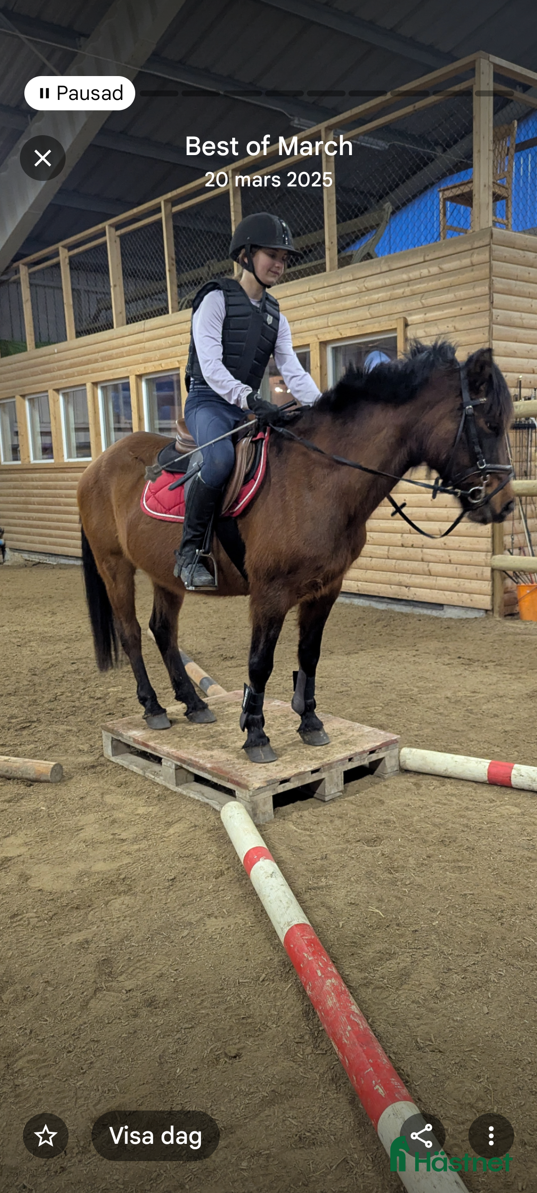 Allround hästar till salu: Trevlig ponny 🌟 i Närkesberg - Annons 1