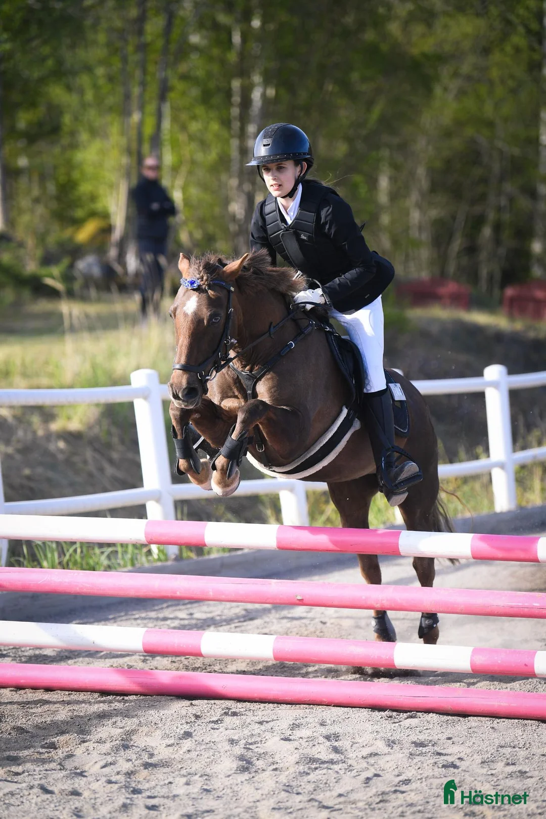 Hoppning hästar till salu: Trygg och pigg rosettplockare och läromästare - Annons 1