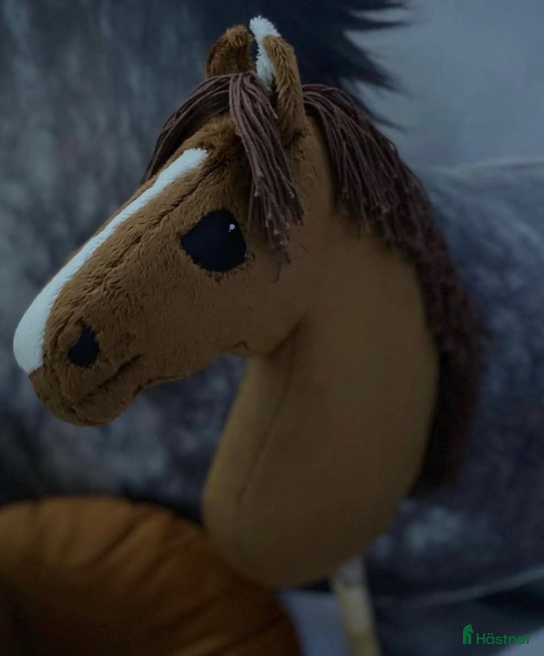 Övrig Ryttarutrustning ryttarutrustning till salu: KÄPPHÄST TILL SALU  - Annons 10