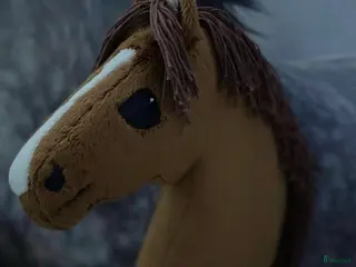 Övrig Ryttarutrustning ryttarutrustning till salu: KÄPPHÄST TILL SALU - Annons 10