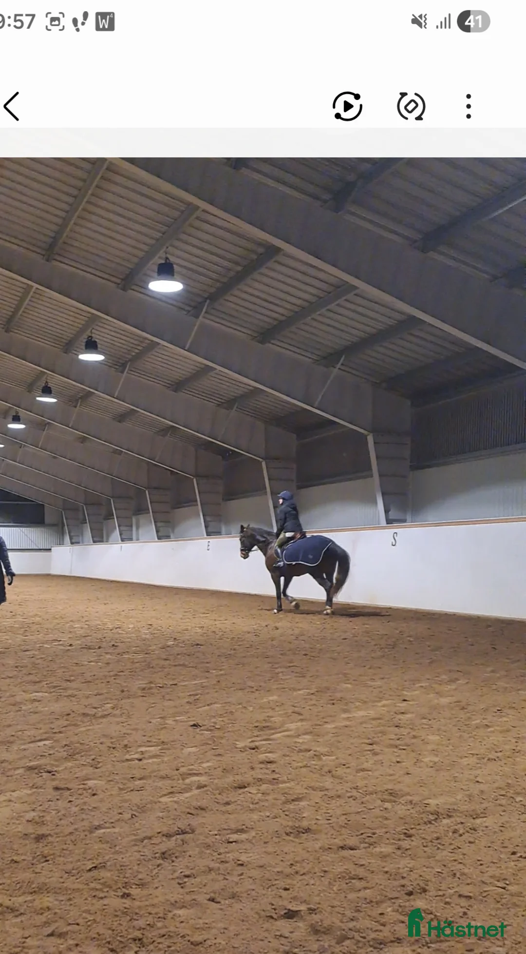 Allround hästar till salu: Exklusive hoppy häst  - Annons 5