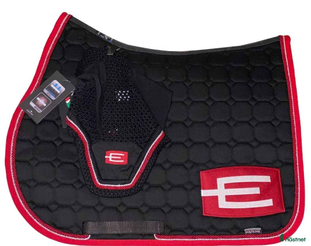 Schabrak & Vojlockar hästutrustning till salu: ⚠️SÖKER⚠️ i Boden - Annons 1