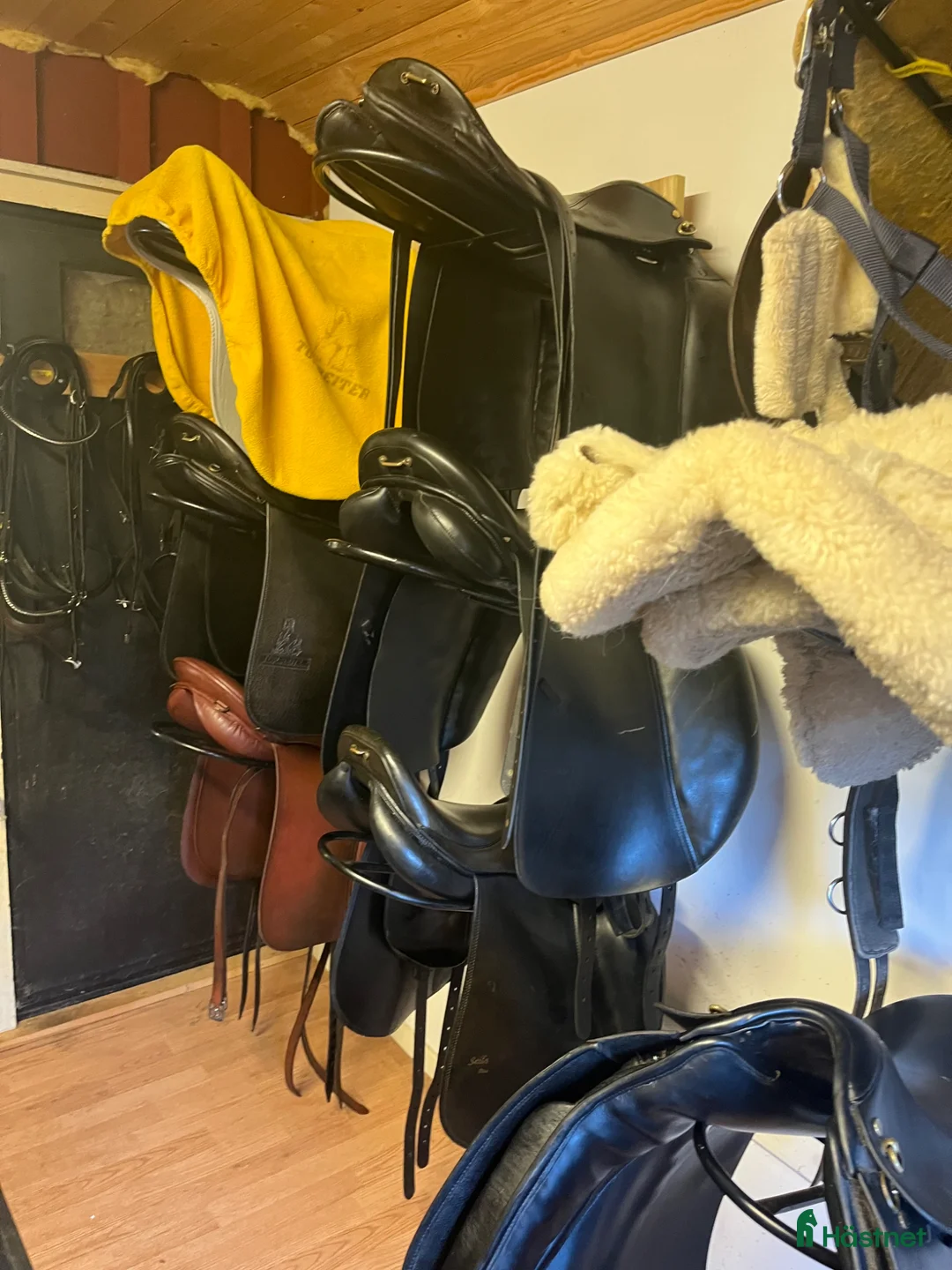 Sadlar hästutrustning till salu: Sadlar och annan utrustning till Islandshäst i Lerum - Annons 2