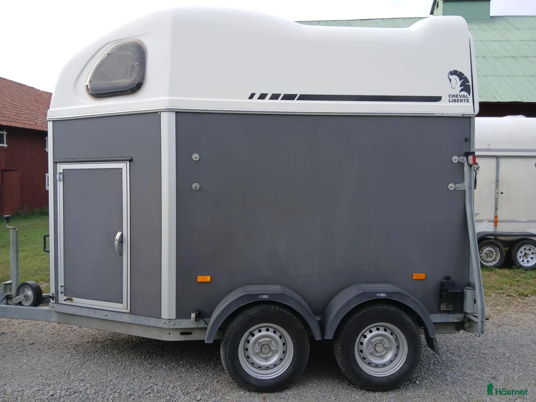 Hästtransporter  fordon & transport till salu: Hästtransport - Annons 9