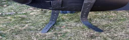 Sadlar hästutrustning till salu: Prestige Inspire 16” 34 L - Annons 6