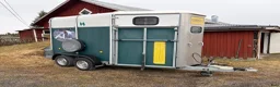 Hästtransporter  fordon & transport till salu: Ifor Williams hästtransport - Annons 2