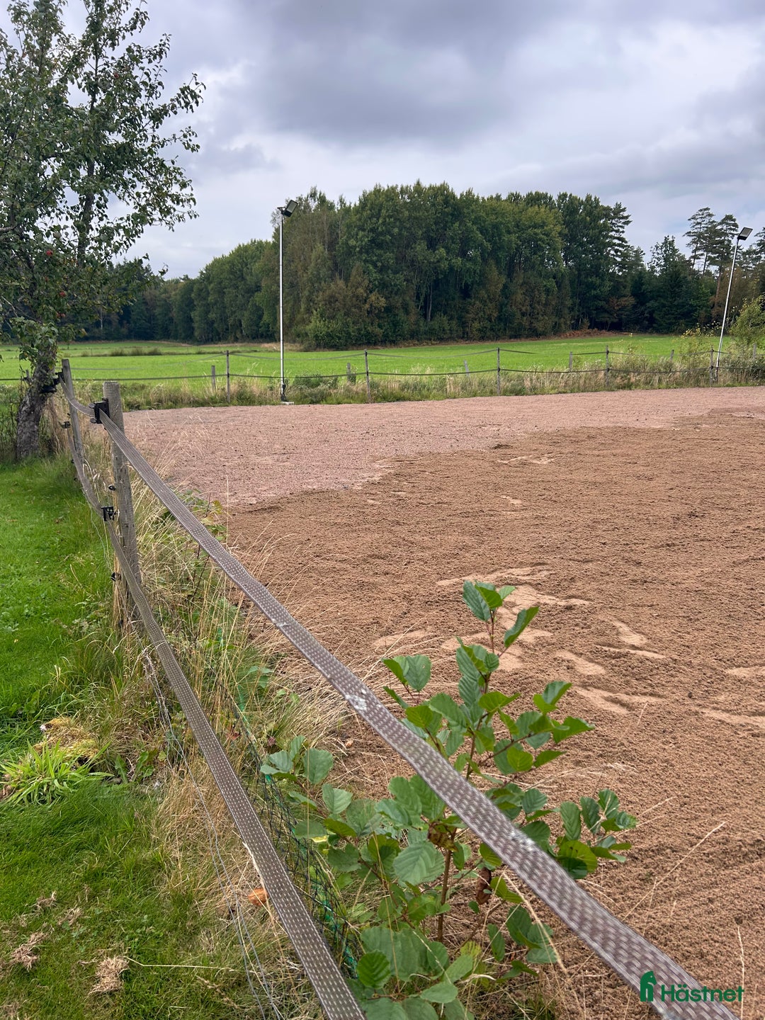  stallplats finnes: Boxplats, rehabplats eller lösdriftsplats erbjuds  i Nol - Annons 3