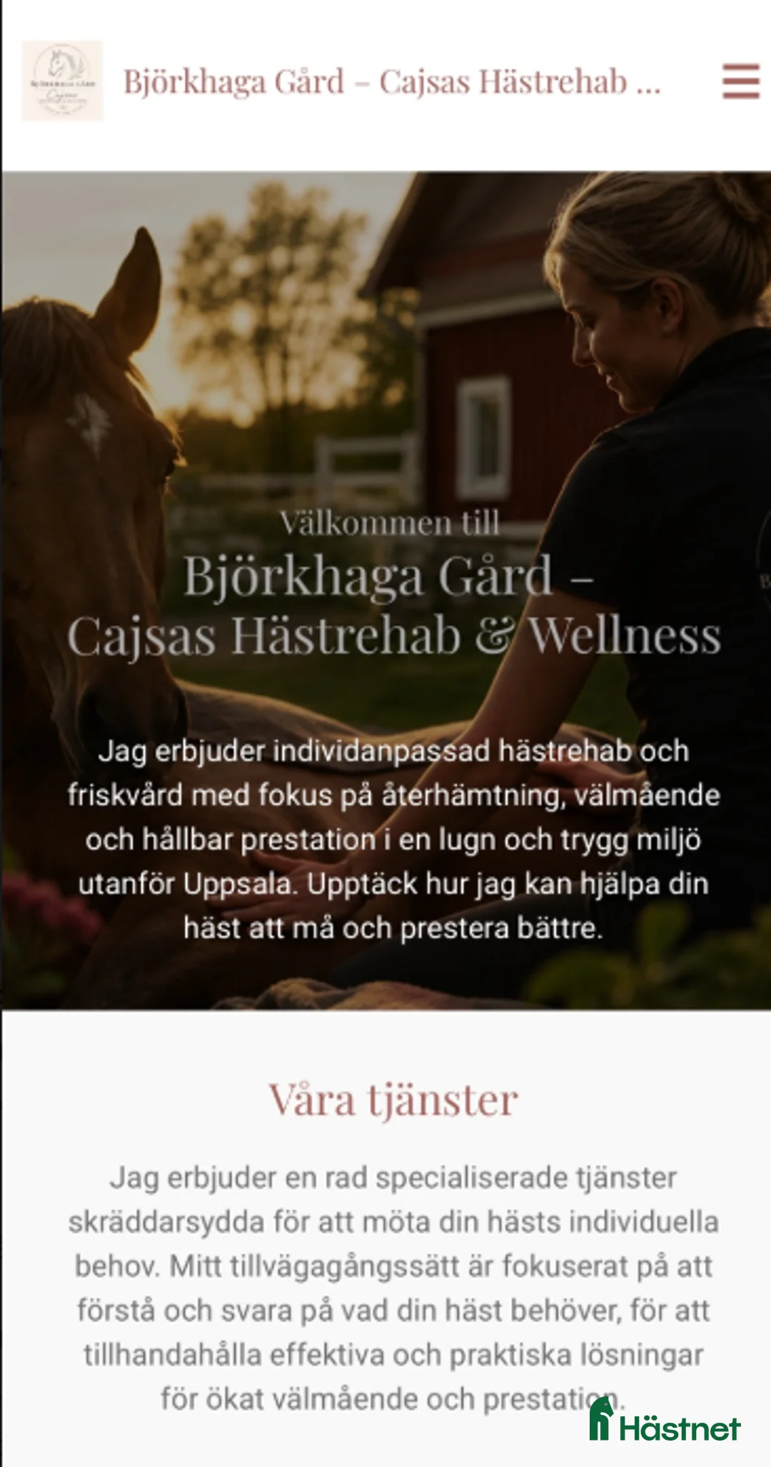  hästservice finnes: Lymfmassage & led-ljusterapi för häst - Annons 3