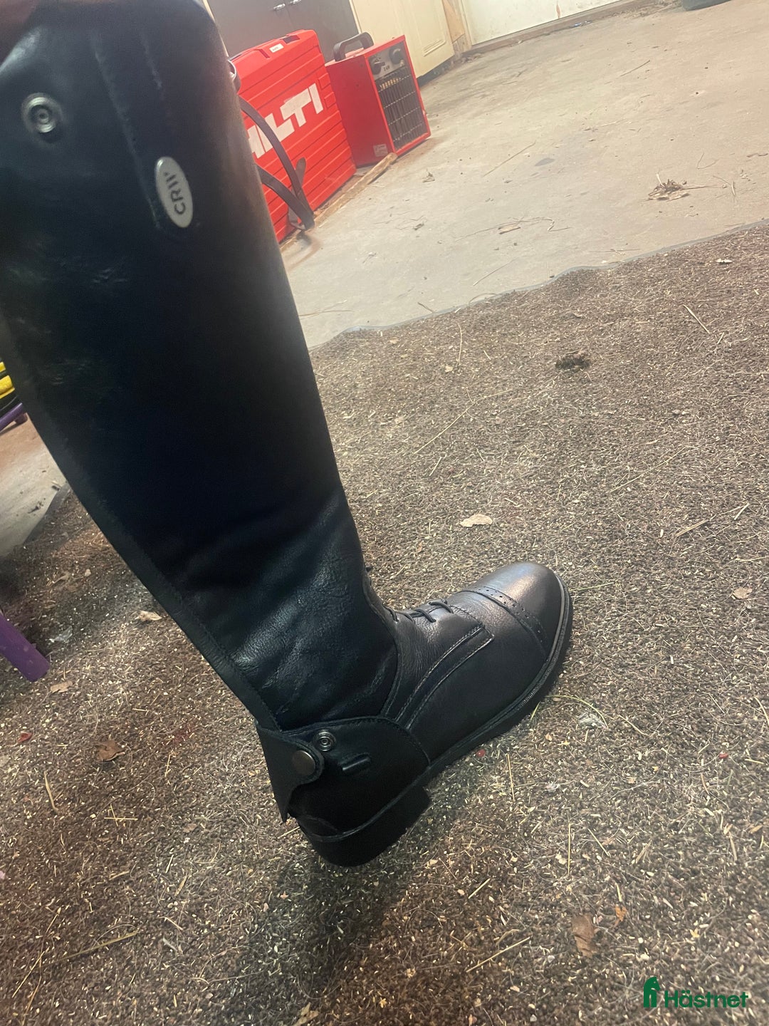 Ridstövlar ryttarutrustning till salu: Ridstövlar  i Falun - Annons 4