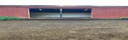  stallplats finnes: Fullservice lösdriftsplats - Annons 1