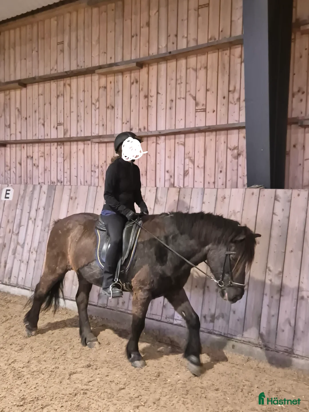  medryttarhäst sökes: Medryttare med fokus på mjuk och lugn uteridning - Annons 3