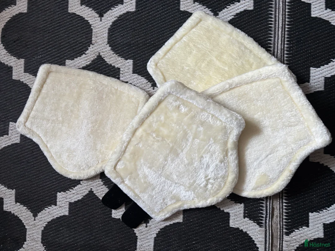 Benskydd hästutrustning till salu: Benskydd med fluff  - Annons 2