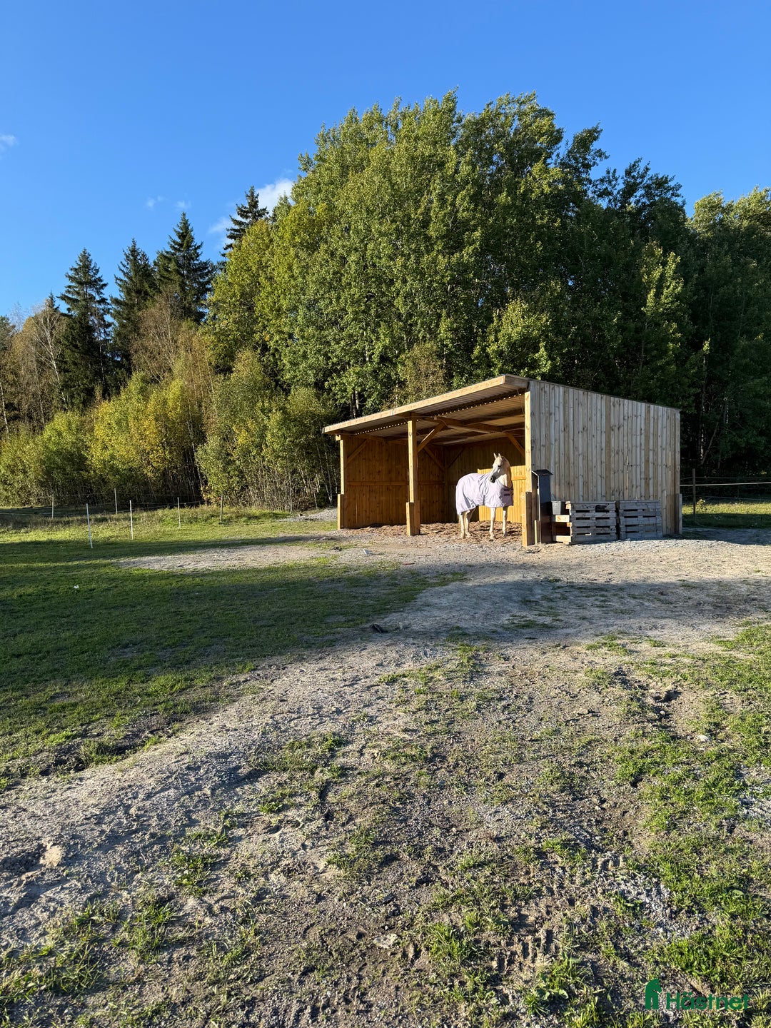  stallplats finnes: Lösdrift Grödinge i Grödinge - Annons 5