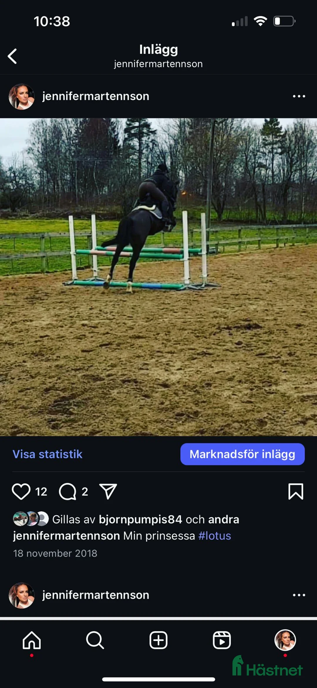 Fälttävlan hästar till salu: Min stjärna  - Annons 9