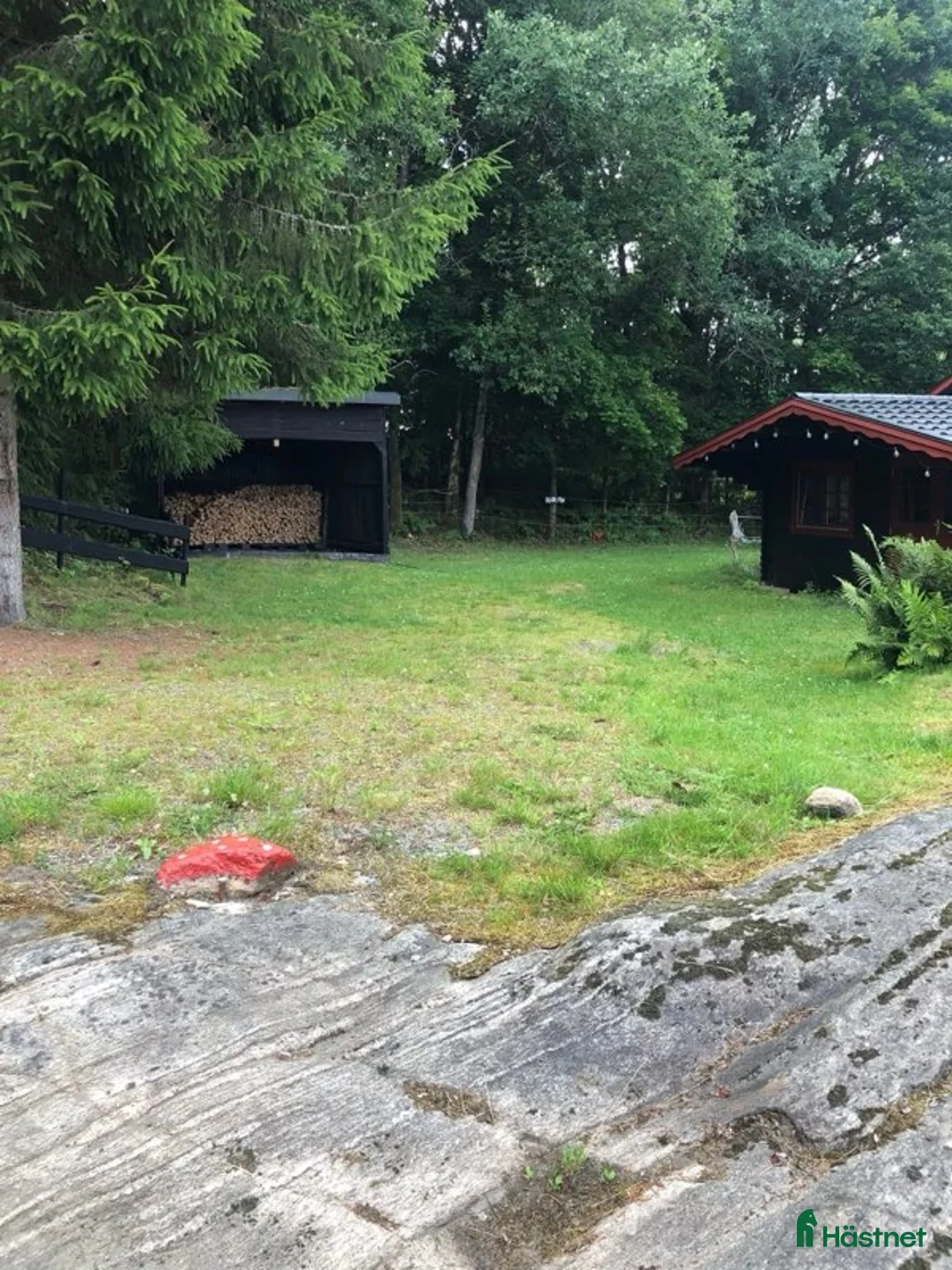  stallplats finnes: Ledig stallplats i Mölnlycke 🌿 - Annons 9