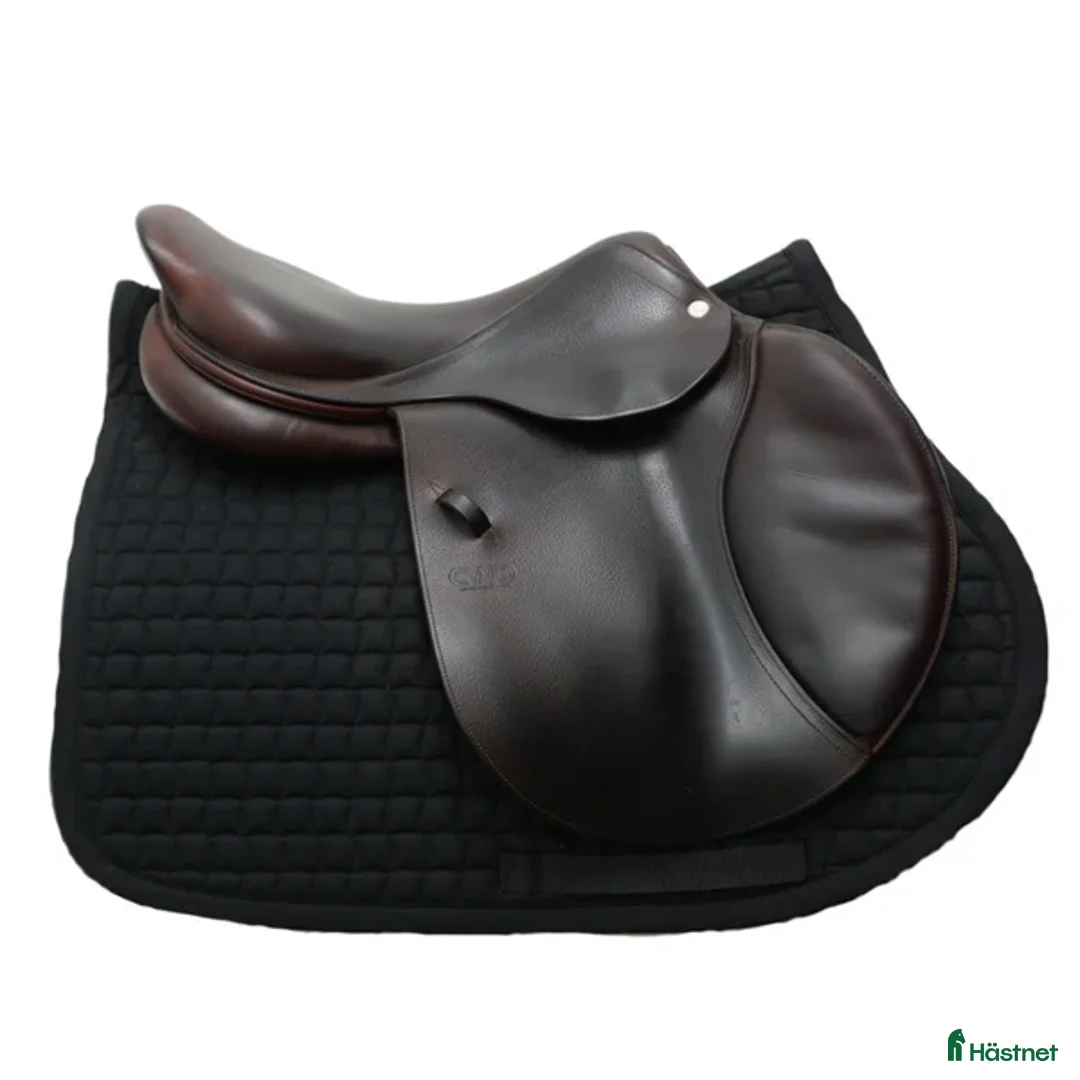 Sadlar hästutrustning till salu: CWD Classic SE02 17,5" i Upplands Väsby - Annons 2