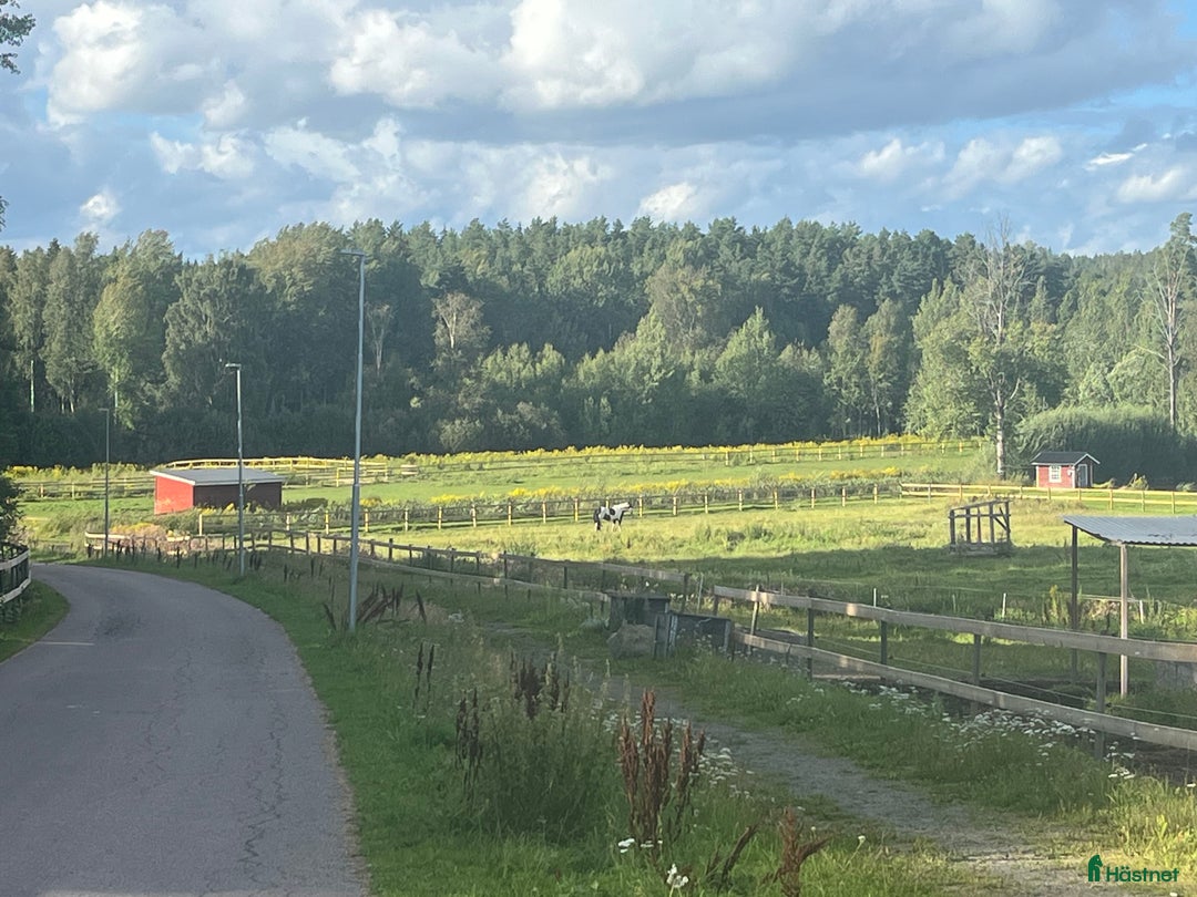  stallplats finnes: Uteboxar i forshaga i Forshaga - Annons 2