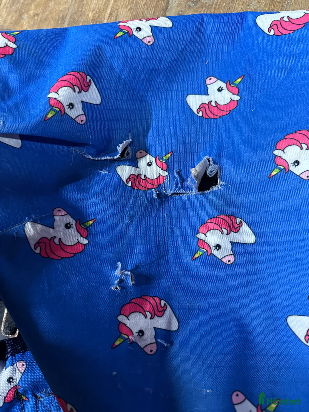 Övrig Hästutrustning hästutrustning till salu: Fynda billigt i Tungelsta - Annons 3