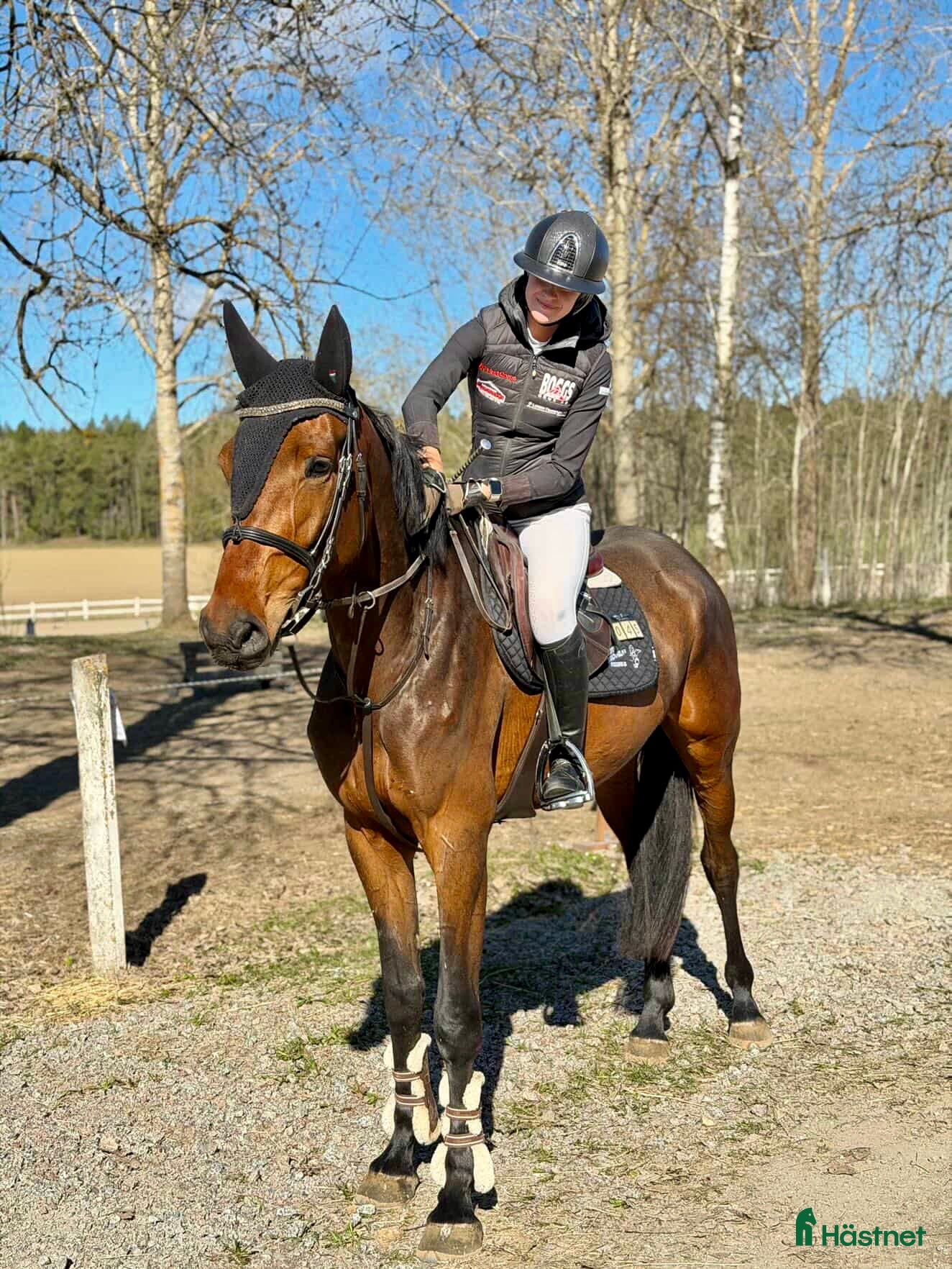  hästar Lovande SWB-sto - Annons 7