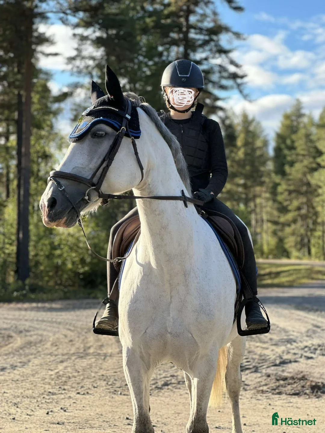 Allround hästar till salu: Maxat svenskfödd d-ponny sto  - Annons 2