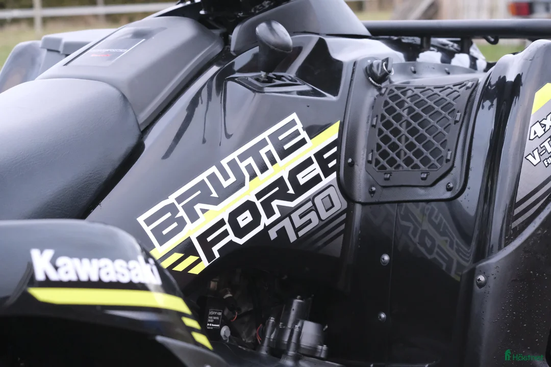 Övrigt fordon & transport till salu: Superfin fyrhjuling Kawasaki Brute Force 750 EPS - Annons 5