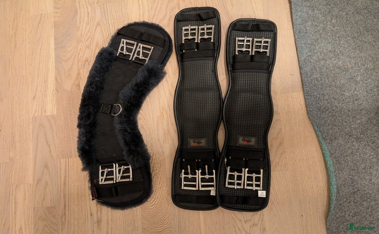 Sadeltillbehör hästutrustning till salu i Nyköping - Annons 16