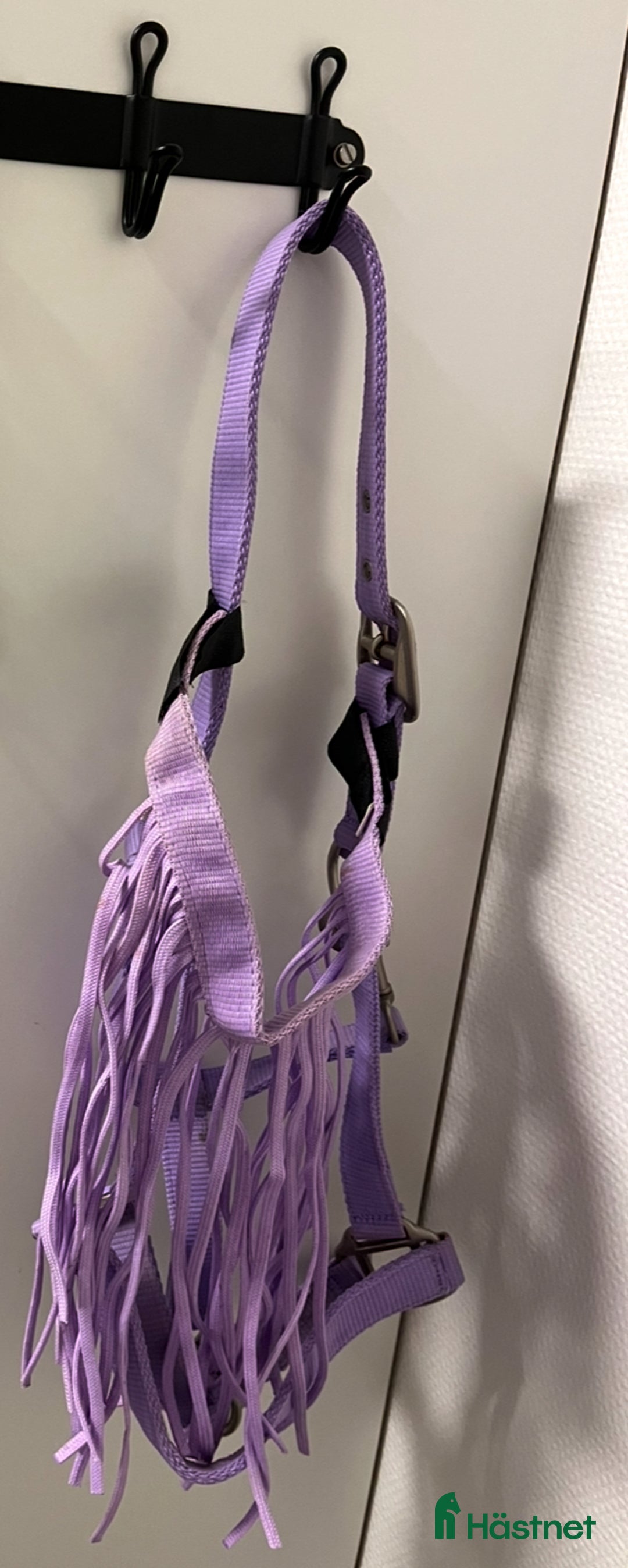 Övrig Hästutrustning hästutrustning till salu: Ljuslila grimma med flugpannband i Kristianstad - Annons 1