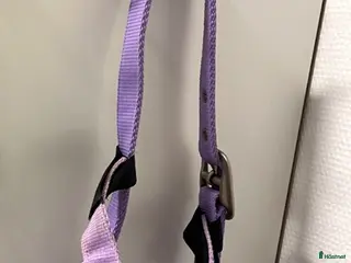 Övrig Hästutrustning hästutrustning Ljuslila grimma med flugpannband - Annons 5